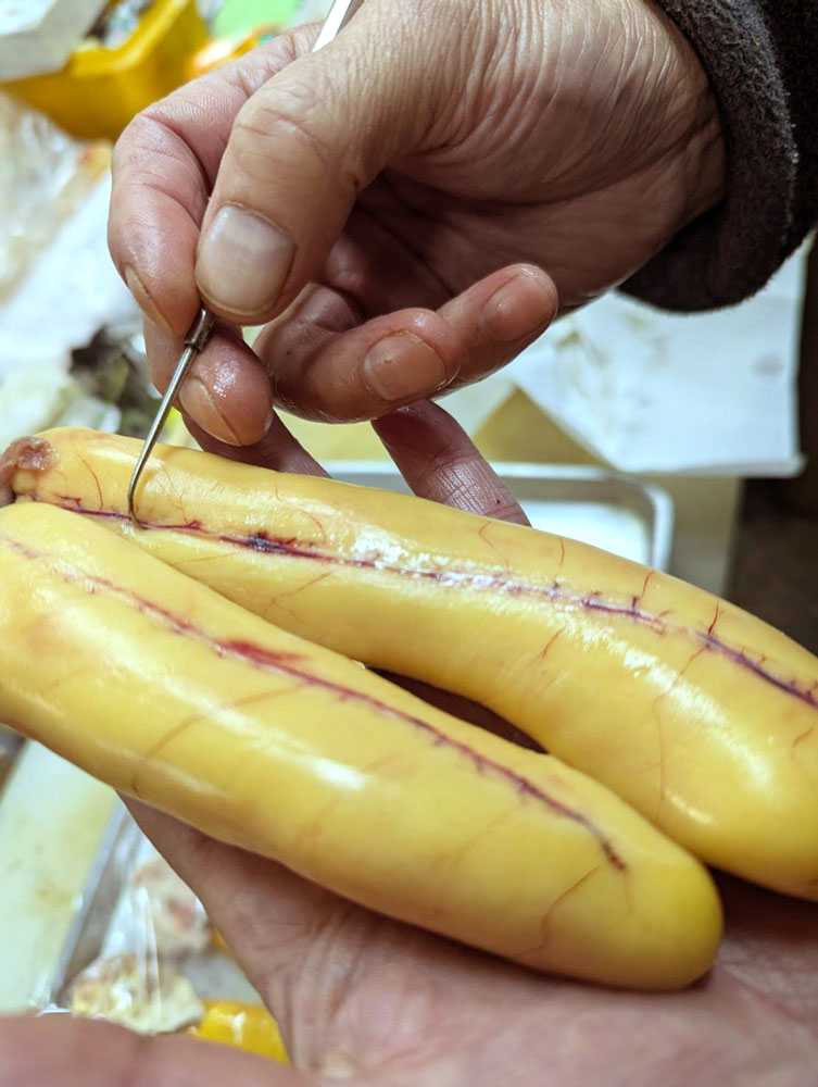 カラスミ血抜き作業の様子