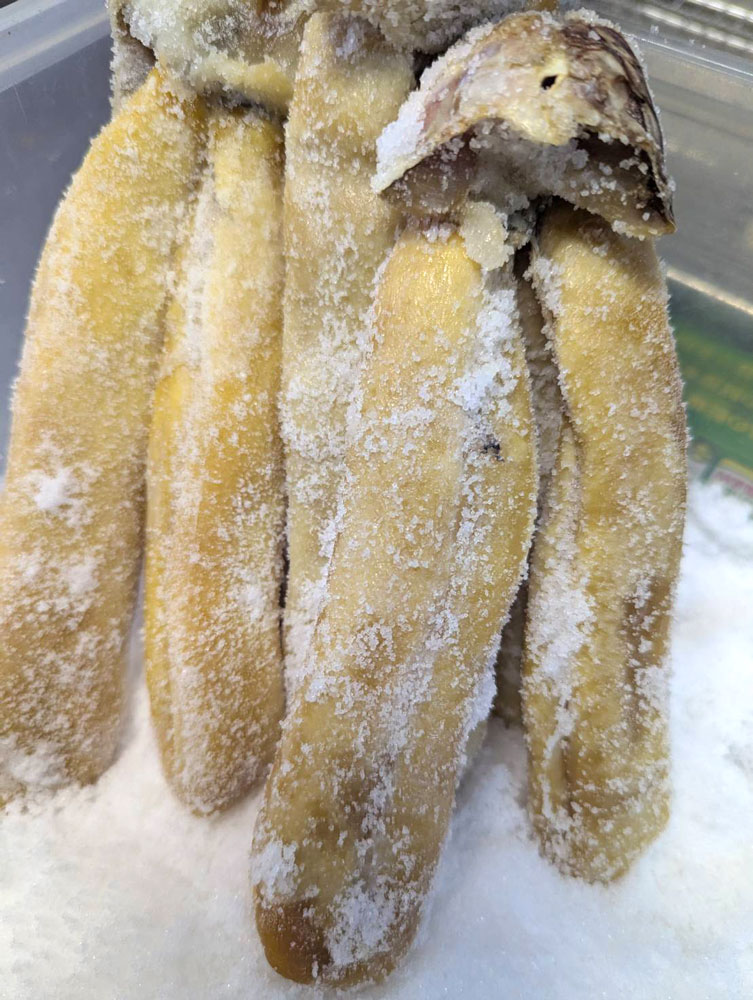 カラスミ塩漬け