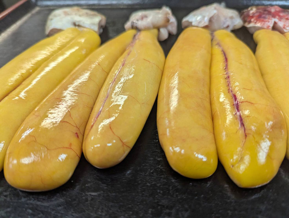 カラスミ血抜き前