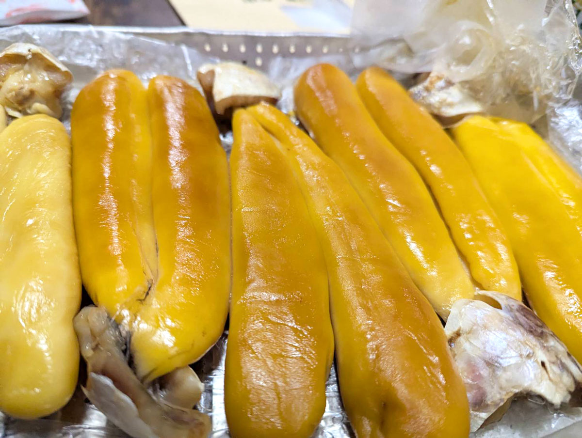 カラスミ干し工程中期