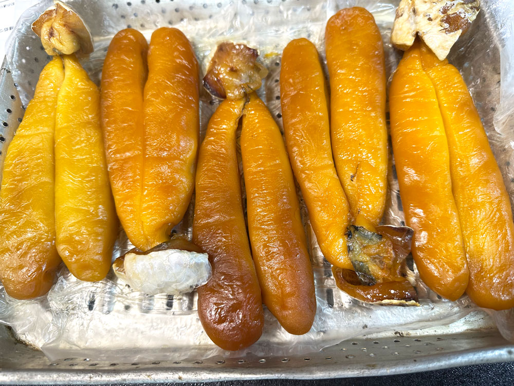 カラスミ干し工程後期